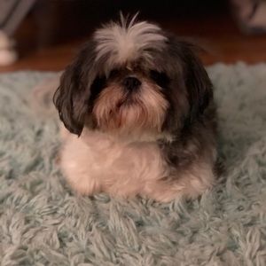 Meet your Posher, Ali